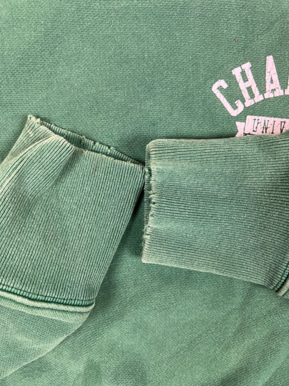 Champion Reverse Weave Men Medium Green Champion University Sweatshirt - Picture 11 of 11